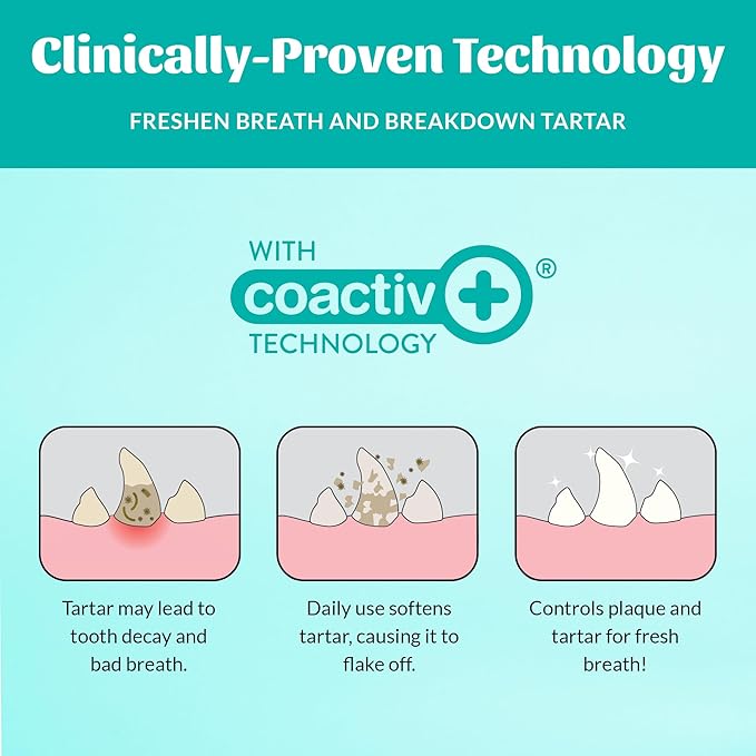 SKOUT'S HONOR Fresher Breath Water Additive for Pets - VOHC Accepted for Tartar Control, Freshens Breath Fast, No Brushing Required : Fresh & Flavorless 16oz