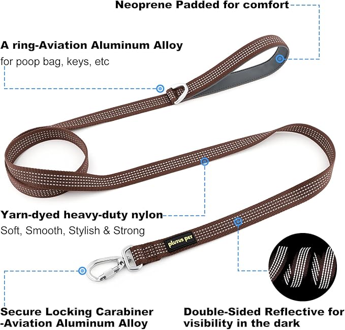 Plutus Pet Heavy Duty Dog Leash with Lockable Aluminum Carabiner, 4/6 Feet Long, Double-Sided Reflective Nylon, Padded Handle, for Puppy, Small, Medium and Large Dogs (Chocolate, 1" x 4')