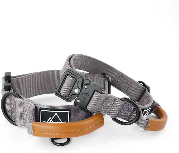 Made to ROAM Premium Explorer Control Collar - Adjustable Heavy Duty Nylon Dog Collar with Quick-Release Metal Buckle and Handle (Montana Moonrise, Control Size 4)