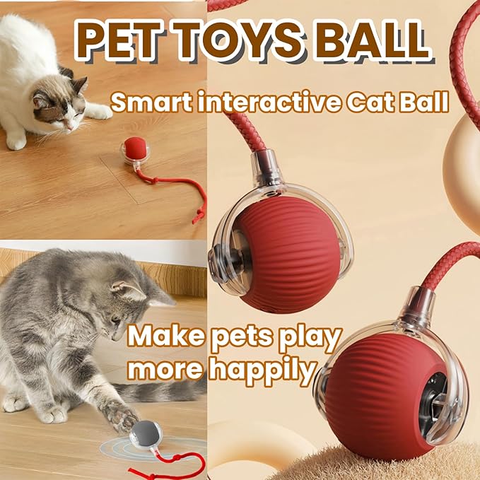 Interactive Rolling Cat Ball, Cat Rotating Toy, 360° Smart Rolling Ball Toy Electric Balls,Suitable for Floors, Carpets, Tiles, Living Rooms (Green+Grey)