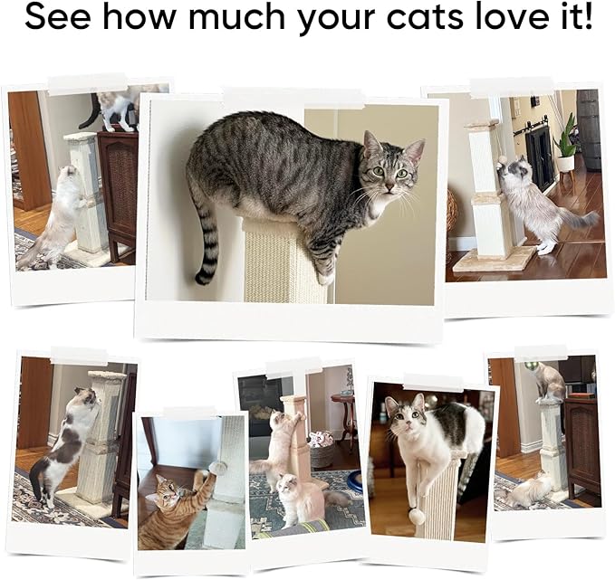 AGYM Cat Scratching Post, 32 Inch Cat Scratching Post for Large Cats, Scratching Posts for Indoor Cats Adults, Cat Scratch Post with Nature Sisal, Beige