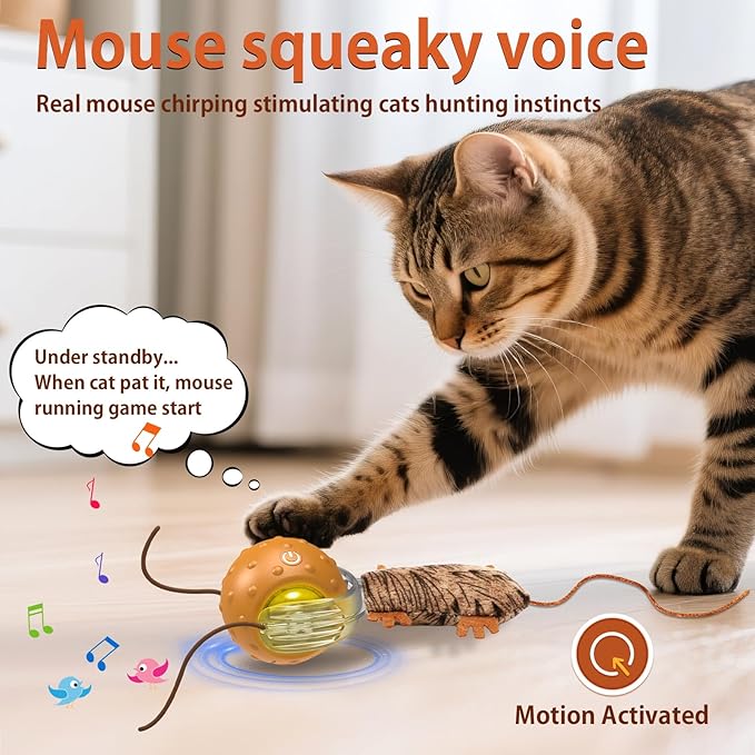 Cat Toys Interactive Self Rolling Cat Balls with Mouse Tails Automatic Moving Fast on Carpet, Rechargeable & Motion Activated
