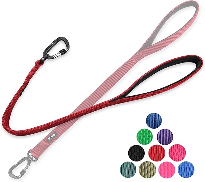 Hyhug Pets 24 Inches Durable Short Leash with Neoprene Soft Handle and Lightweight Aviation Aluminium Clip Lead- for Daily Use Walking and Professional Training. (24 Inches, Red)
