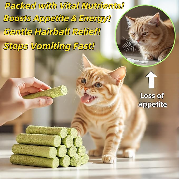 Cat Toys 20Pack Cats Grass Teething Stick Kitten Chew Treat for Removal Hairballs Kitty Dental Care Snack Freeze Dried Cat Food