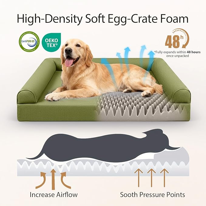Sytopia 42in Chew Proof Dog Beds for Large Sized Dogs, Waterproof Egg Crate Foam XL Orthopedic Pet Bed with Removable Washable Cover, Non-Slip Bottom, Supports up to 100 lbs for Senior Pet, Green
