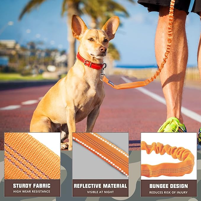 AUROTH Heavy Duty Bungee Dog Leash for Large Breed Dogs, No Pull for Shock Absorption with Car Seat Belt, 2 Padded Handles 4.5Foot 6Foot Training Dog Leash Orange