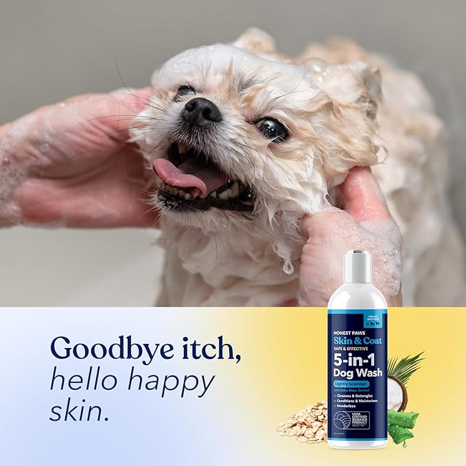 Honest Paws Dog Shampoo and Conditioner - Premium Dog Wash for Allergies Dry, Itchy, Moisturizing for Sensitive Skin - Sulfate Free Plant Based All Natural - Lightly Scented w/Odor Control -16 Fl Oz