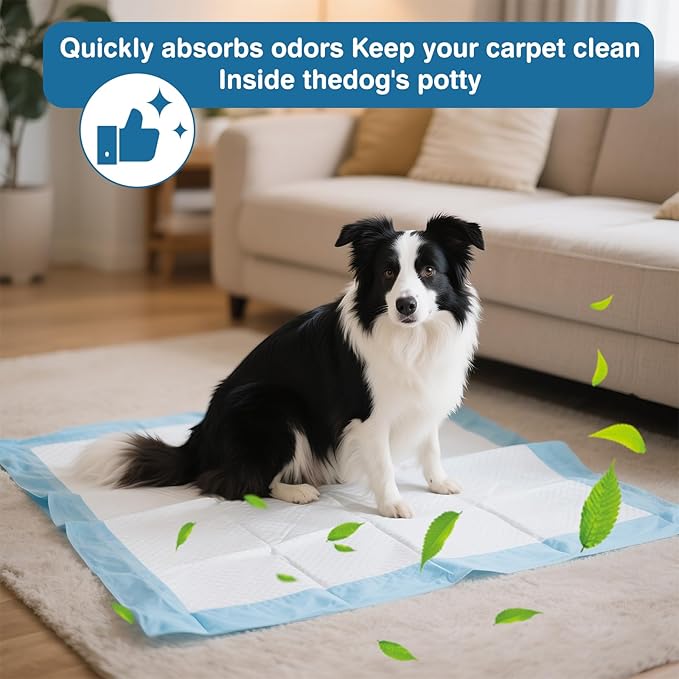 40 Pack Extra Large Dog Pee Pads, XXL Puppy Training Pads - 31.5 x 35.4 Inch, Quick Dry, 6-Layer Leak Proof Protection and Disposable Dog Pads with Super Absorbent for Indoor, Outdoor Use