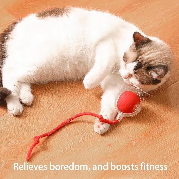 Interactive Cat Toys Motion Activated,Automatic Rolling Pet Ball,Obstacle Avoidance 3 Play Modes Quiet Durable Chew Resistant Material USB Rechargeable Long Battery Life for Cats (Green+Red)