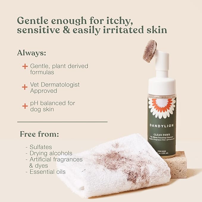 Dandylion Clean Paws | No-Rinse Dog Paw Cleaner & Dog Paw Washer | Gentle, Fragrance-Free, pH Balanced Foaming Cleanser with Silicone Bristle Brush | Safe for All Dogs | 5 fl oz