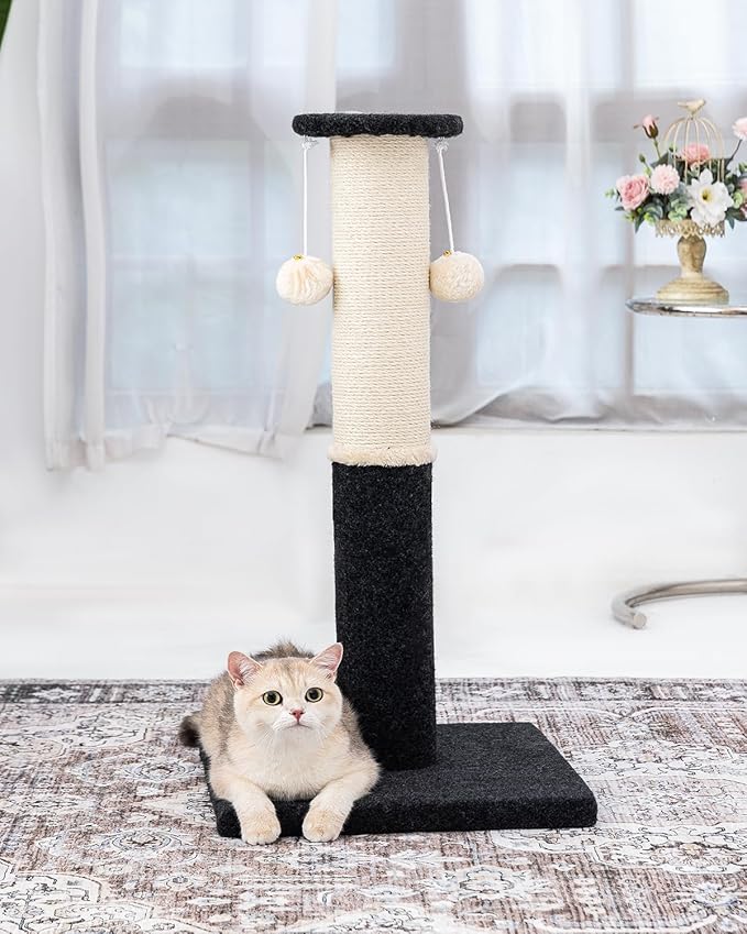 34-Inch Tall Cat Scratching Post for Indoor Cats, Large Carpet Scratch Post, Sisal Cat Scratcher, Sturdy and Durable Cat Post with Hanging Ball Black