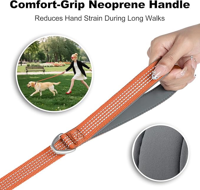 Plutus Pet Heavy Duty Dog Leash with Lockable Aluminum Carabiner, 4/6 Feet Long, Double-Sided Reflective Nylon, Padded Handle, for Puppy, Small, Medium and Large Dogs (Orange, 1" x 4')