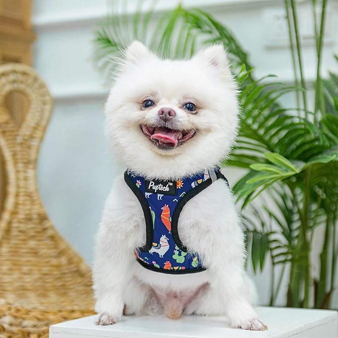 PUPTECK Adjustable Dog Harness Collar and Leash Set, Step in No Pull Pet Harness for Small Medium Dogs Puppy Cats Outdoor Walking, Soft Mesh Padded Reflective Vest Harnesses, Navy Blue Alpaca, XXS