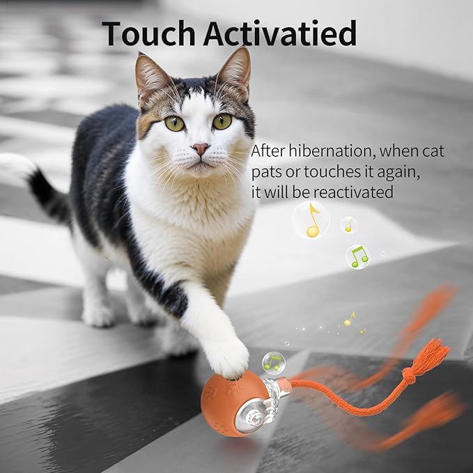 Interactive Cat Toys, Automatic Moving Cat Toys for Bored Indoor Adult Cats, Fast Rolling, Chirping & Motion-Activated Kitty Toys, Fun Gift for Cats with Speedy Tail 2.0, USB Rechargeable (Orange)