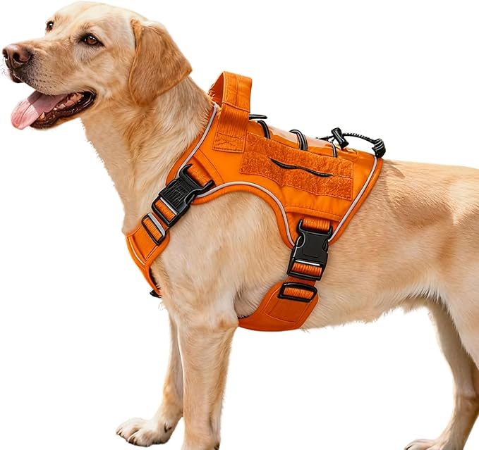 Heavy-Duty Tactical Dog Harness for Large Dogs, No Pull Adjustable Reflective Pet Vest with Molle System, K9 Military-Grade Control for Service Training, Outdoor & 10+ Breeds, Orange, Medium