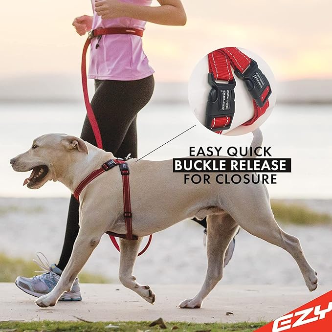 EzyDog Chest Plate No Pull Dog Harness – Escape Proof Harness with Reflective Stitching and Comfort Padding for Easy Walks, Training & Control - Car Restraint Included (Medium, Pink)