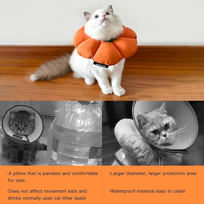 H HIDREAM Cat Cone Collar,Cute Waterproof Recovery Collar,Anti-Bite Lick Wound Healing Safety Elizabethan e Collar for Cats,Orange Pumpkin Halloween Costume, HDY01-005S