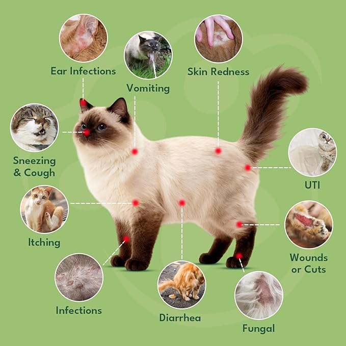 YOTANGO Natural Antibiotics for Cats, Cat Antibiotics for UTI & Itch Support, Immune, Digestive, Allergy, Skin & Coat Support for Cats and Kittens, for All Ages & Breeds (Chicken Flavor-60ml 2 Pack)