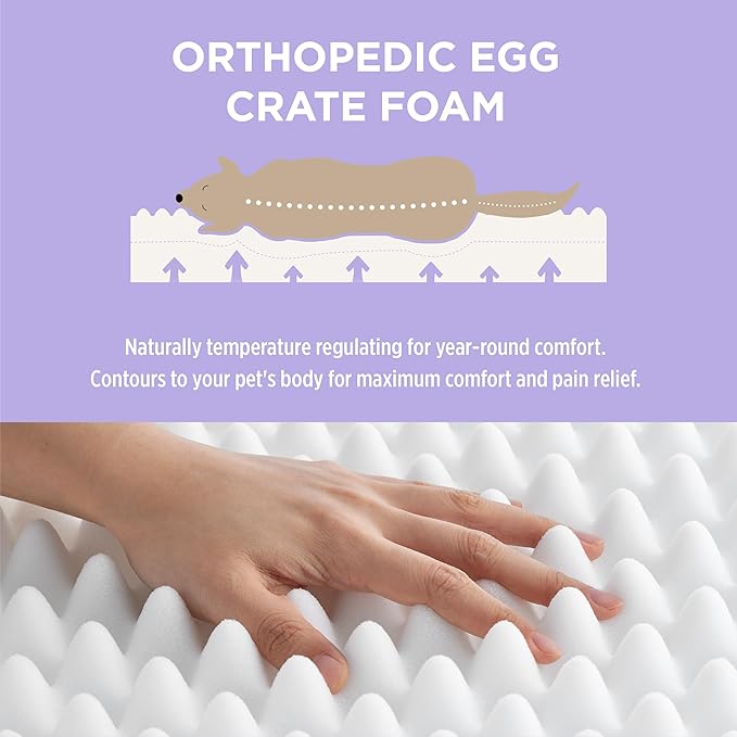 LE SURE Human Dog Bed for Adult & Kids - Calming XXL Size Bed with Egg Foam Supportive Mat as Gift for Family, Cute Modern Beds with Jacquard Shaggy Plush & Anti Slip Bottom 55x37x10, Blue