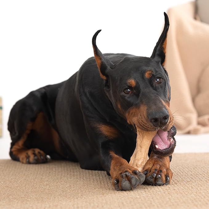 Willjoy Dog Chew Toys for Aggressive Chewers, Tough Dog Toys for Aggressive Chewers, Pine Wood and Nylon Indestructible Dog Toy, Bacon Flavor Large Dog Toys to Keep Them Busy