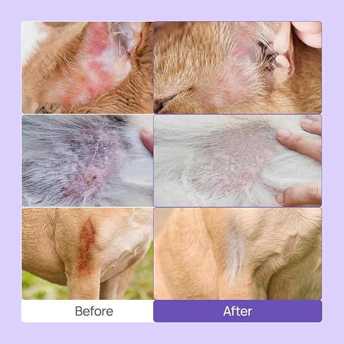 HICC PET Hot Spot Treatment Spray for Dogs & Cats, 2X Strength for Dog Wound Care, Dog Itch Relief Spray for Alleviate Dry Itchy Skin, Allergies, Inflammation, Dog Skin Irritation Treatment, 10 fl oz