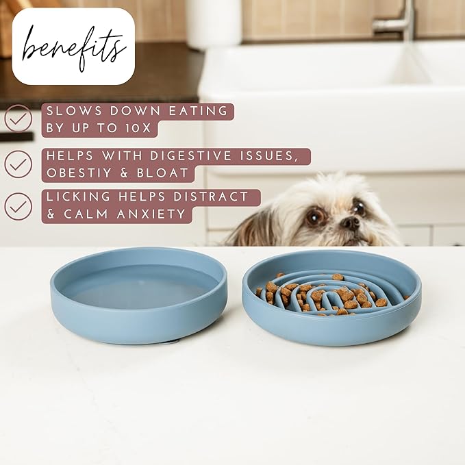 Should We Go? Slow Feeder for Dogs & Cats, The Slowdown Bowl Silicone Slow Eating Mealtime Solution with Modern Lick Mat Design, Reduces Gulping, Fits 1 Cup, 6” Across x 1.25” Tall, Small-Ocean