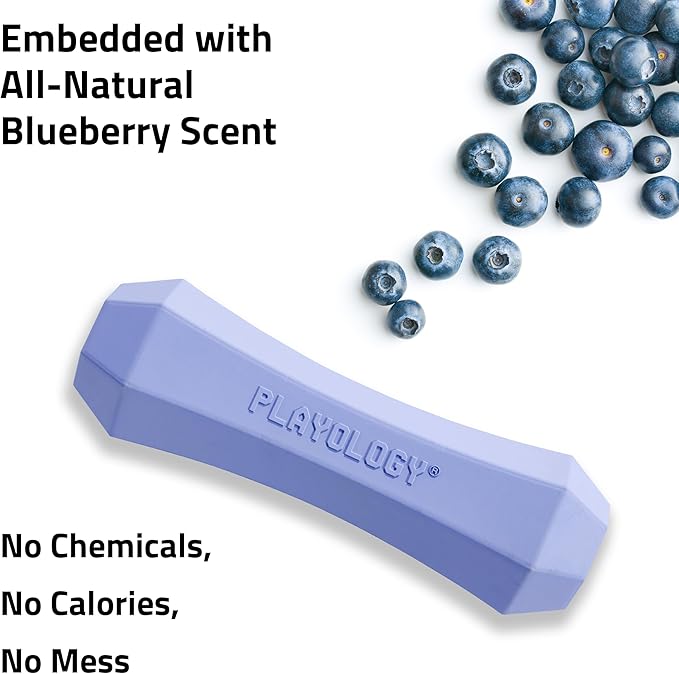 Playology Dog Toys | Durable Squeaky Chew Stick for Dogs | Jumbo Blueberry Scented Toy - Easy to Clean and Made from Non Toxic Materials