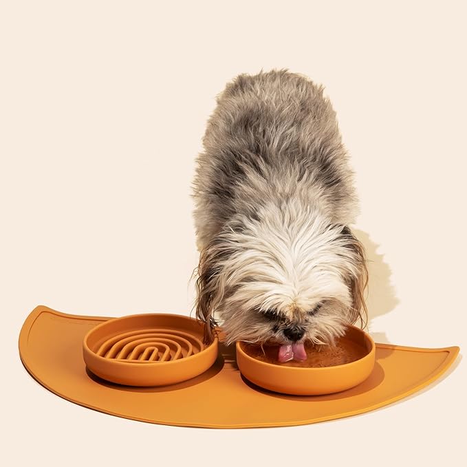 Should We Go? Slow Feeder for Dogs & Cats, The Slowdown Bowl Silicone Slow Eating Mealtime Solution with Modern Lick Mat Design, Reduces Gulping, Fits 1 Cup, 6” Across x 1.25” Tall, Small-Ocean