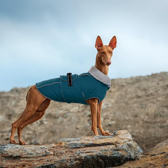 Lelepet Warm Dog Coats for Small Dogs Waterproof Dog Winter Jacket Reflective Pet Fleece Vest Windproof Cold Weather Coats with Adjustable Buckle & Leash Hole, Dark Green, S