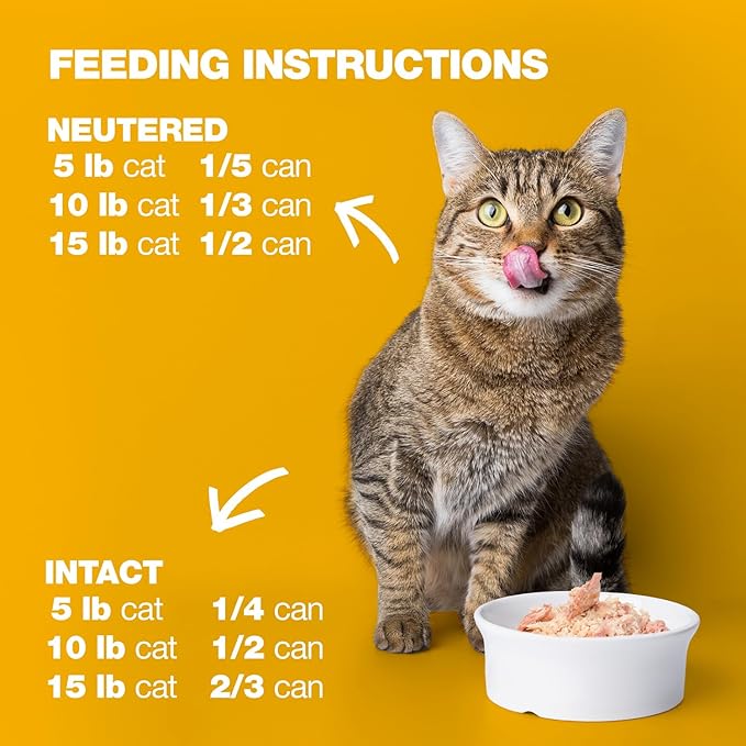 Natural Code - Wet Cat Food, Limited Ingredient Cat Food, High-Protein, Non-GMO, No Artificial Additives, Made in Italy, Chicken in Broth for Adult Cats (3 oz, 24 Pack)