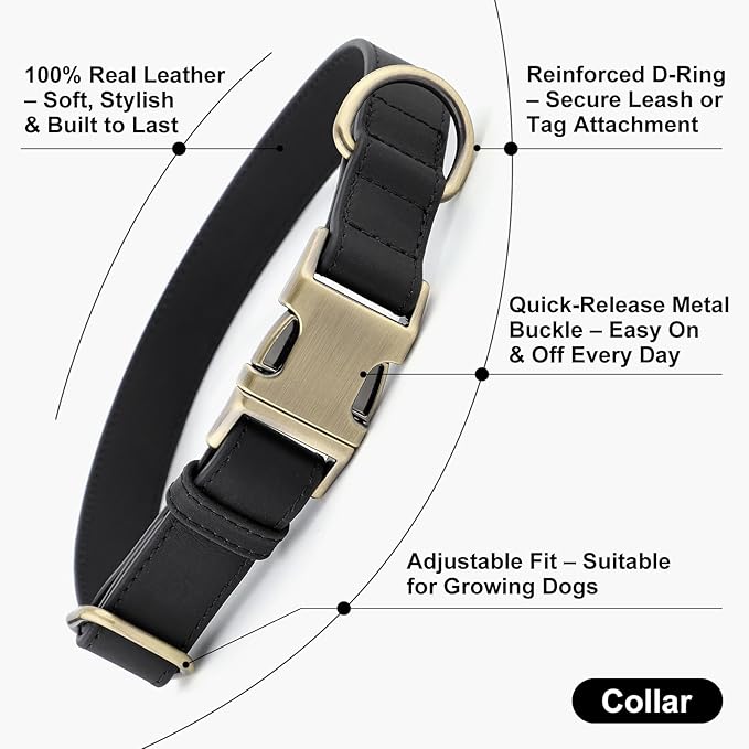 Plutus Pet Genuine Leather Dog Collar – Adjustable Pet Collar with Quick Release Metal Buckle, Soft Real Leather for Small Medium Large Dogs, Heavy Duty & Skin-Friendly (Black, S)