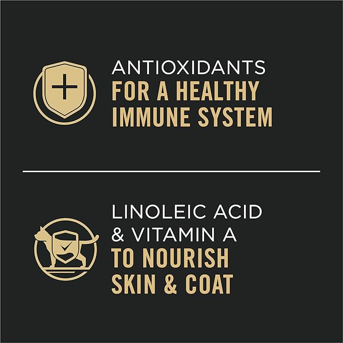Purina Pro Plan Grain Free Pate Wet Cat Food, Complete Essentials Chicken and Spinach Entree Classic - (Pack of 24) 5.5 oz. Cans