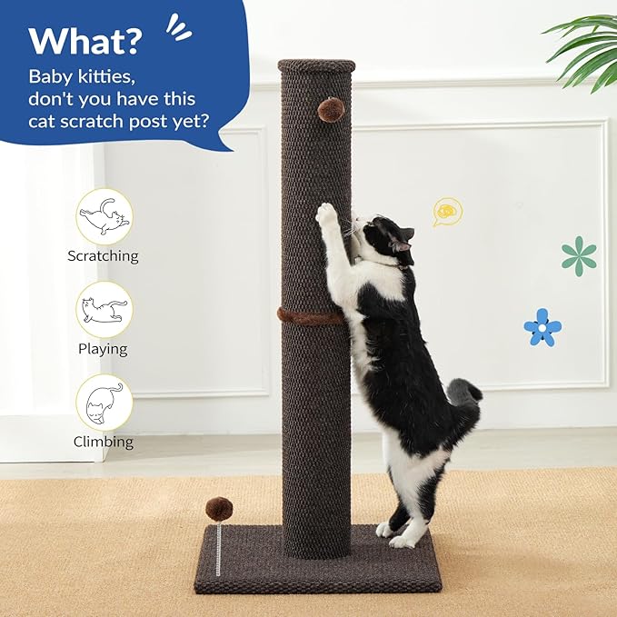 Cat Craft Cat Scratching Post Large Reticulate Carpet Scratching Post for Indoor Cats, Tall Cat Scratch Post, Carpet Cat Scratcher with Replaceable Toys, Sturdy Base, Large, Brown