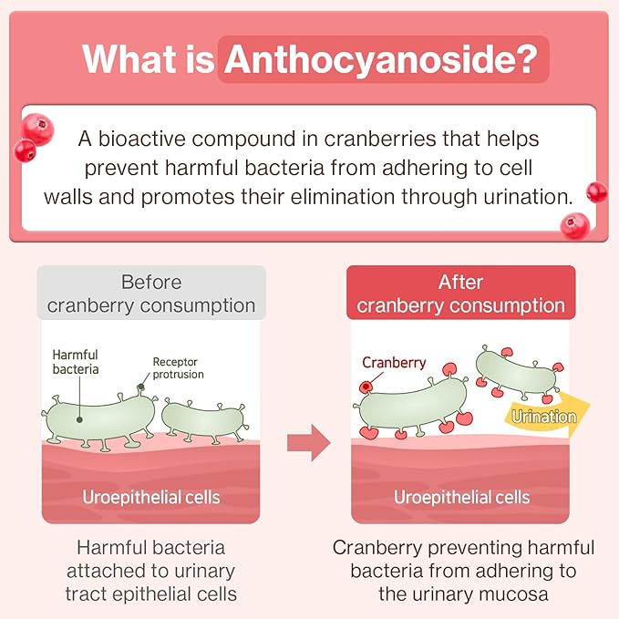 Doctor By UT Care Cat UTI Kidney Support Urinary Supplement Cranberry Treatment for Cats Renal Health with Pacran, Quercetin, Taurine lickable Formula Individually Packaged (1 Pack)