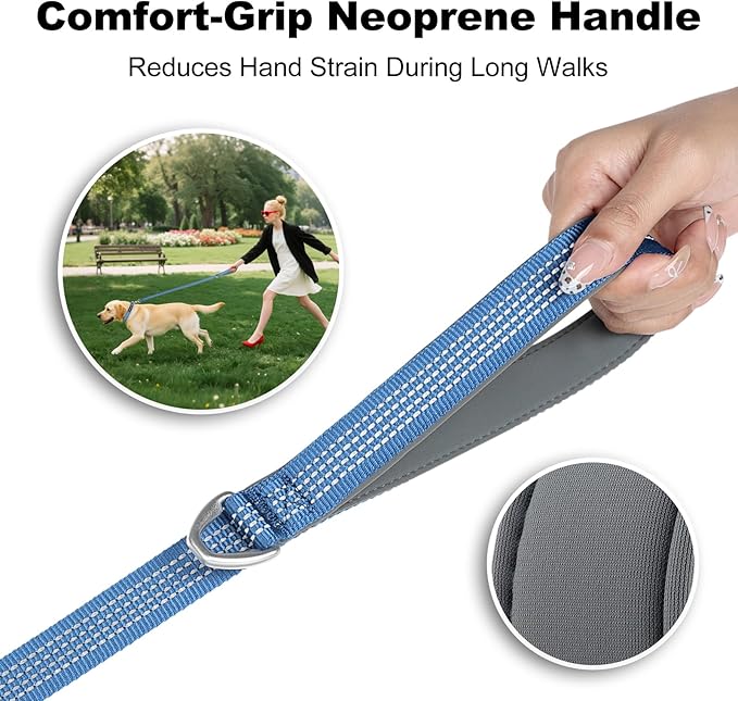 Plutus Pet Heavy Duty Dog Leash with Lockable Aluminum Carabiner, 4/6 Feet Long, Double-Sided Reflective Nylon, Padded Handle, for Puppy, Small, Medium and Large Dogs (Blue, 1" x 6')