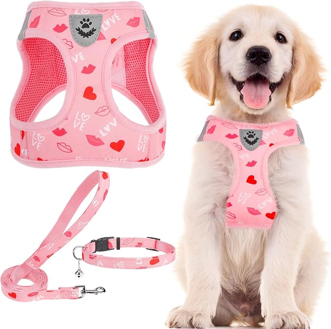 PUPTECK Adjustable Dog Harness Collar and Leash Set Step in No Pull Pet Harness for Small Medium Dogs Puppy and Cats Outdoor Walking Running, Soft Mesh Padded Reflective Vest Valentine Harnesses