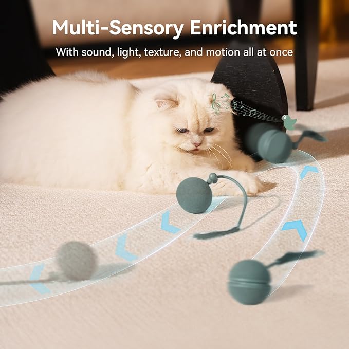 2 in 1 Interactive Cat Toys for Indoor Cats - Wicked Ball Duo2 Automatic Cat Toy, Rolling Ball & Spinning Top, Electric Cat Toy Balls with Chirping Sounds & Speedy Tail, Moving Kitten Toys