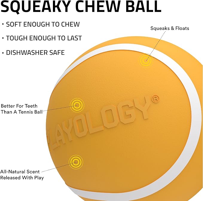Playology Dog Toys | Squeaky Chew Ball - Bouncy Durable Floating Fetch Ball for Dogs, Value 3-Pack | Small Cheddar Cheese Scented Toy - Easy to Clean and Made from Non Toxic Materials