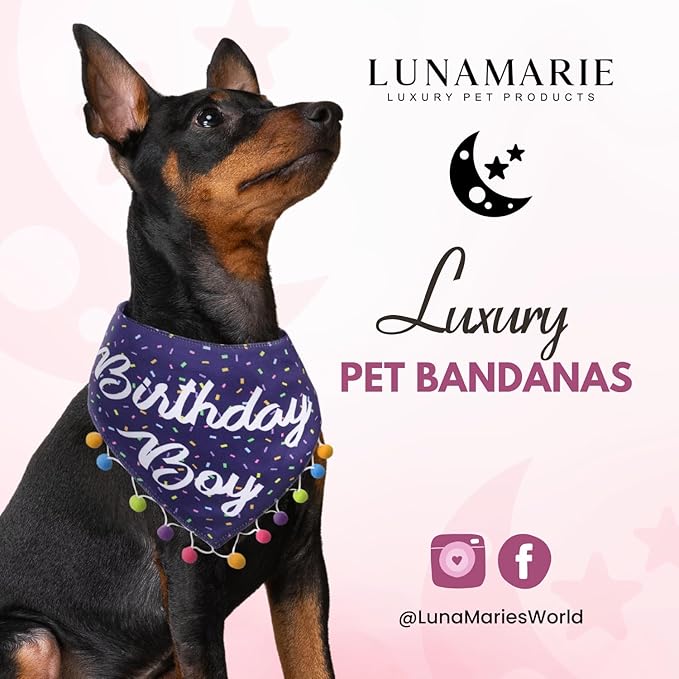 LunaMarie - Luxury Pet Birthday Bandanas -Premium & Silky Poly Fabric | 100% Handmade | Custom Shape Dual Layered (Birthday Boy, Large)