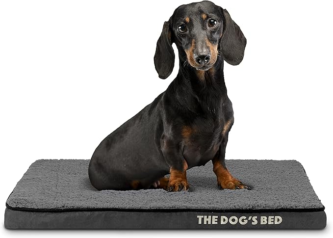 The Dog’s Bed Orthopedic Memory Foam Dog Bed, Small Grey Plush, Pain Relief for Arthritis, Hip & Elbow Dysplasia, Post Surgery, Lameness, Supportive, Waterproof Washable Cover, Veterinary Approved