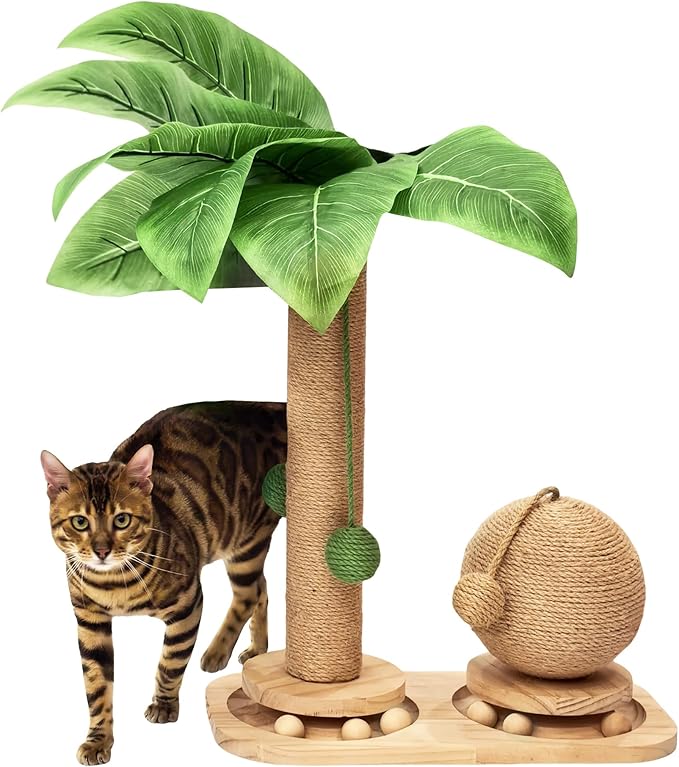 Cat Scratching Post, Wooden Cat Scratcher Toy for Indoor Cats, Sisal Ball Toy with Hanging and Track Balls, 17.7" Tall Banana Tree Cat Tower for Kittens