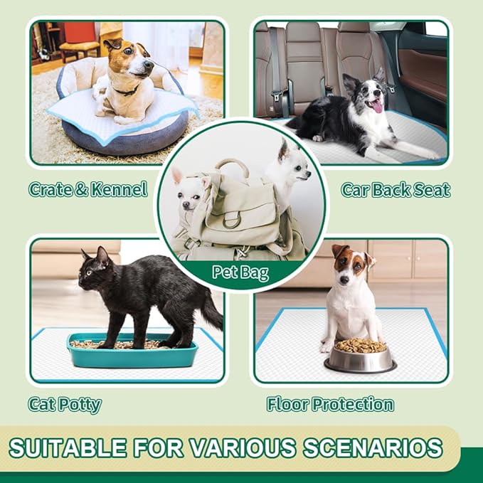 IMMCUTE Puppy Pads 22"x23" 100 Count | 6-Layer Leak-Proof & Super Absorbent Dog Training Pads | Disposable Potty Pads for Puppies, Dogs, Cats & Rabbits | Blue & White