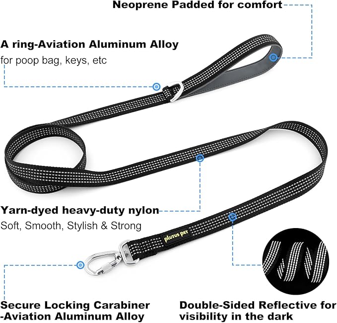 Plutus Pet Heavy Duty Dog Leash with Lockable Aluminum Carabiner, 4/6 Feet Long, Double-Sided Reflective Nylon, Padded Handle, for Puppy, Small, Medium and Large Dogs (Black, 1" x 6')