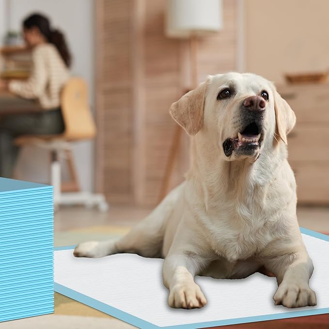 Puppy Pee Pads for Dogs - 32"x36" Extra Large, 60 Count, Leak-Proof & Super Absorbent, Thicken Disposable Potty Pads for Puppy & Cat Training