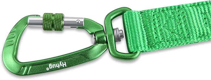 Hyhug Pets 24 Inches Heavy Duty Short Leash with Soft Handle and Lightweight Aviation Aluminium Clip Lead- for Large Medium Dogs Daily Necessities. (24 Inches, Lime Green)