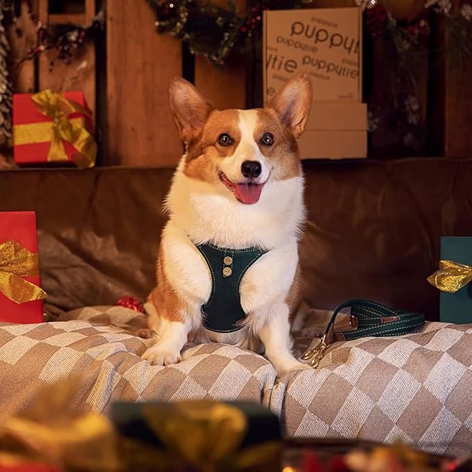 Dog Harness, No Pull Dogs Harness and Multi-Function Leash Set for Medium Dogs Easy Walk Everyday Adjustable Soft Dog Vest Harness Fashionable Dog Accessories Denim Vintage Green-Button-L