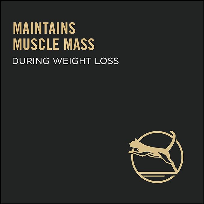 Purina Pro Plan LiveClear Cat Food Weight Management and Cat Allergen Reducer Chicken and Rice Formula - 3.2 lb. Bag