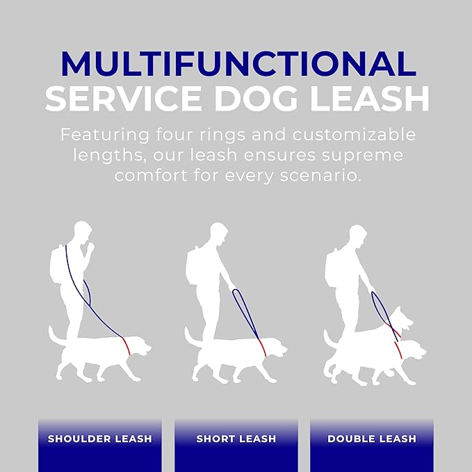 ActiveDogs Hands Free Dog Leash – Adjustable 4-Point Crossbody Hands Free Leash for Mobility & Training – Waist Belt for Dog Walking - Durable 3/4" Double-Stitched Nylon, Black, 6.5ft