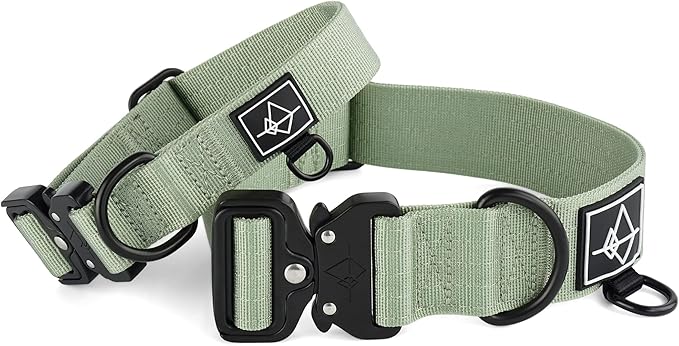 Made to ROAM Premium Dog Collar - Adjustable Heavy Duty Nylon Collar with Quick-Release Metal Buckle (Washington Rain, Size 2)
