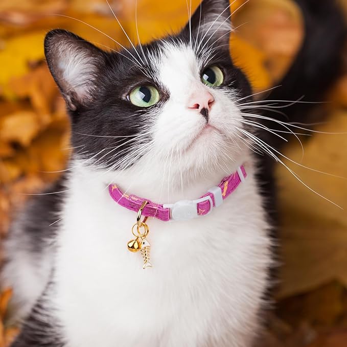 2 Pack Cotton Breakaway Cat Collar Orange and Purple Fish Pendant Cute Kitten Cat Collar with Bell